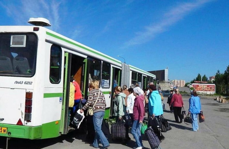 Перед дачным сезоном в Подмосковье запустят 40 автобусных маршрутов