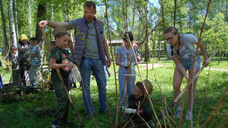 Лес Победы посадят в Пушкинском 30 апреля