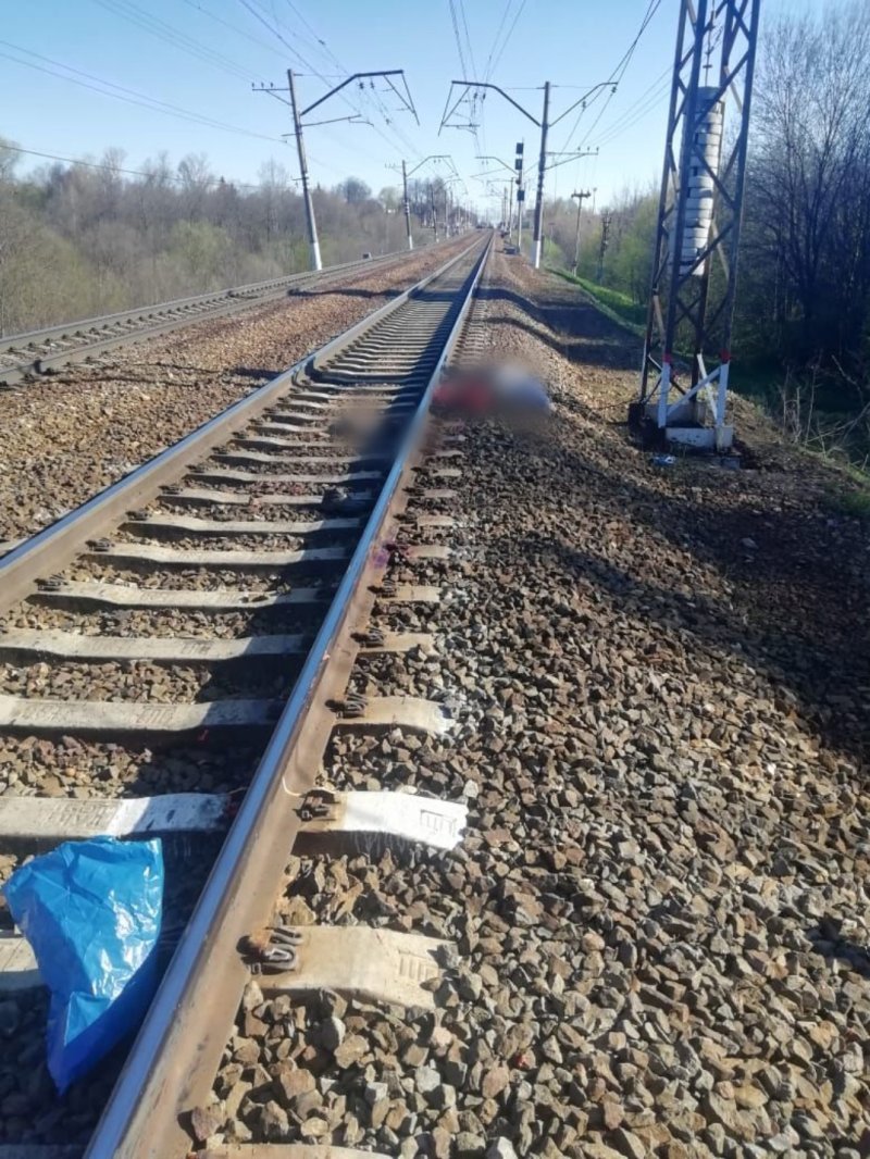 Поезд сбил мужчину в Пушкинском округе