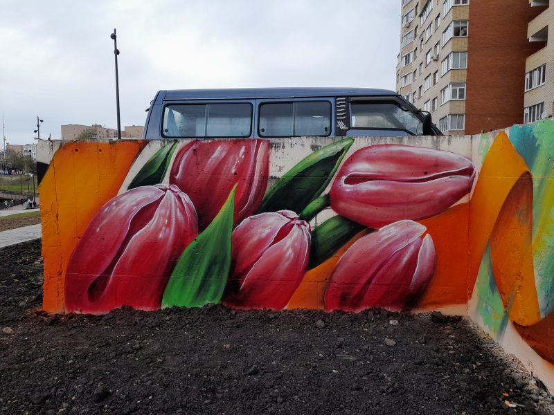 В Чехове ко Дню Победы появилось необычное длинное граффити
