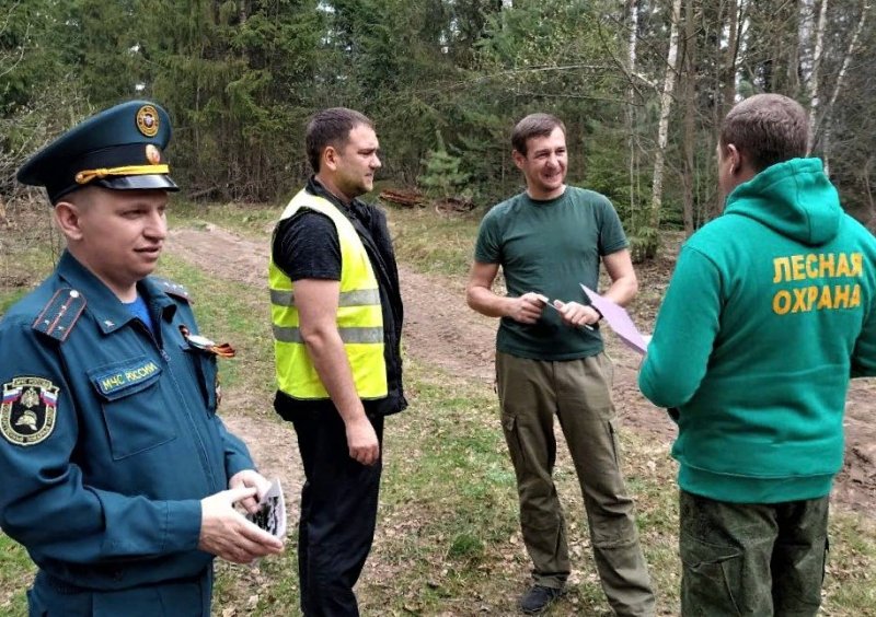 В Пушкинском округе проведены совместные патрулирования лесного фонда