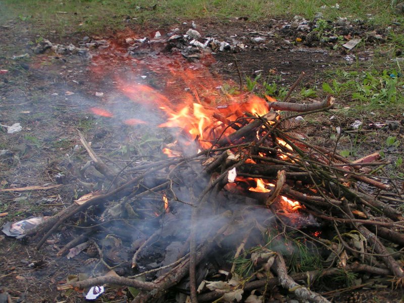 В Подмосковье увеличили штрафы за нарушение противопожарных правил в лесу