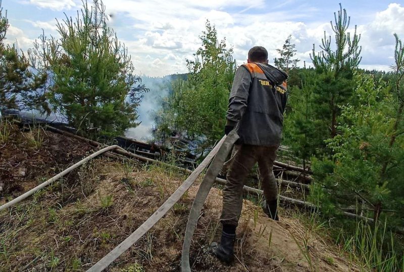 В Луховицах лесопожарная система видеомониторинга помогла быстро потушить пожар