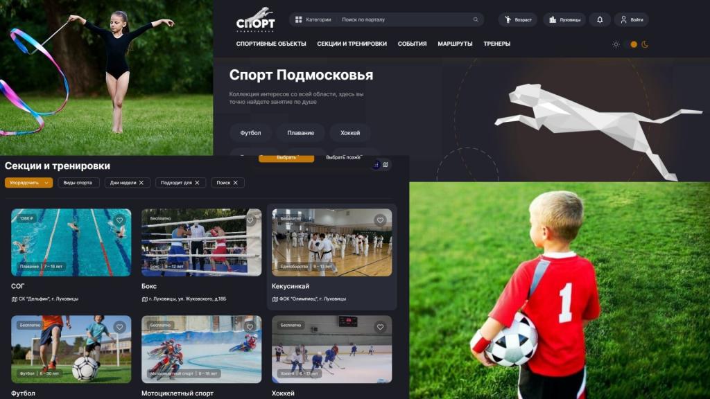 что такое предмет секция. спорт подмосковья сайт. спорт подмосковья. спортивное ориентирование на велосипедах. журнал мытищи.