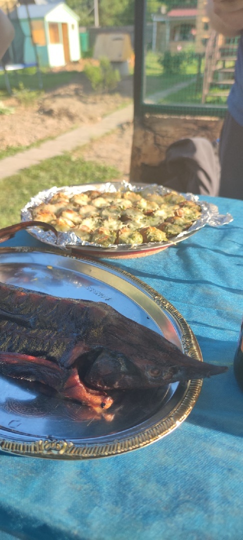 Житель Подмосковья поделился фото блюд из садовых улиток