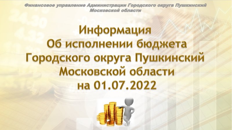 Информация об исполнении бюджета Пушкинского округа на 1 июля 2022 года