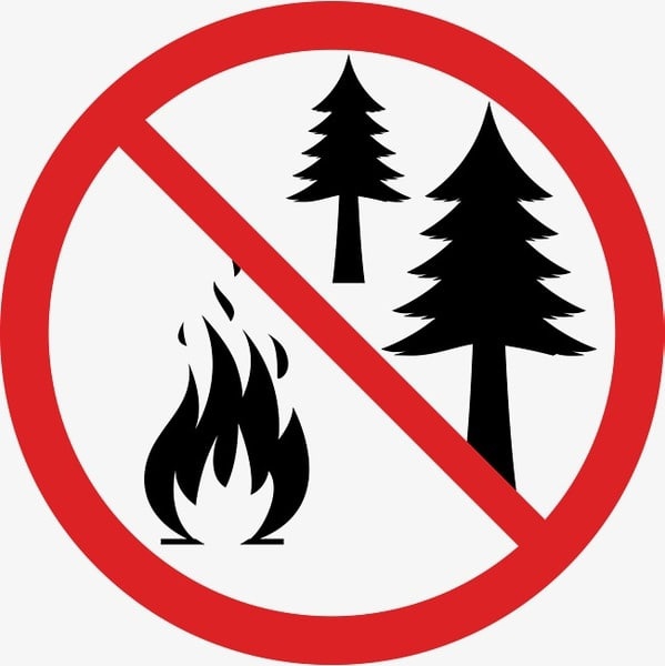 Жителям Подмосковья напомнили, как не допустить пожар в лесу