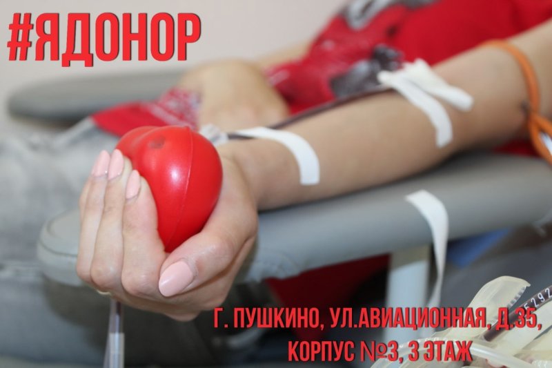 Сдать кровь можно в Пушкино