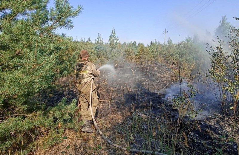 26 лесных пожаров ликвидировано за первую неделю августа в Подмосковье