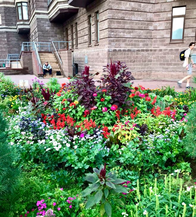 На звание «Лучший сад во дворе Подмосковья» претендует четыре проекта из Пушкино