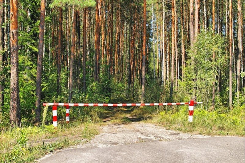 С 16 по 21 августа на востоке Подмосковья вводится ограничение на пребывание граждан в лесах