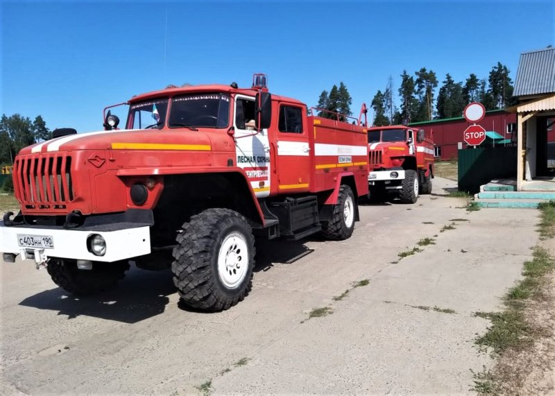 Подмосковные лесопожарные формирования направлены для тушения рязанского пожара