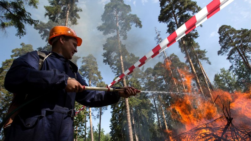 Свыше 200 спасателей тушат пожары рядом с Балашихой, город окутал смог