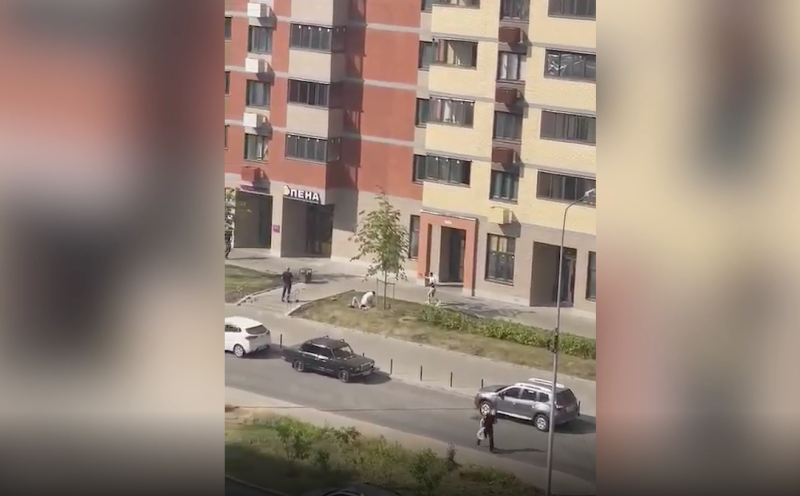 Полиция задержала участника драки со стрельбой в Пушкино
