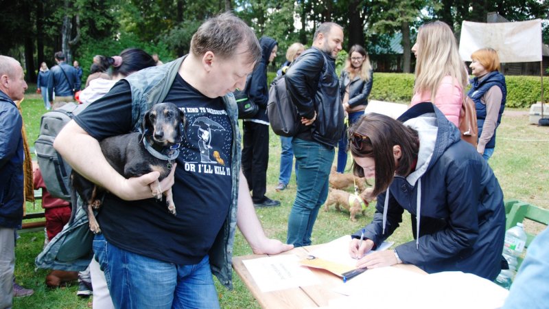 Более 100 собак приняло участие в фестивале «Таксы Чехова» в Мелихово