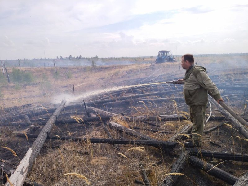 13 пожаров ликвидировано в лесах Подмосковья за прошедшую неделю