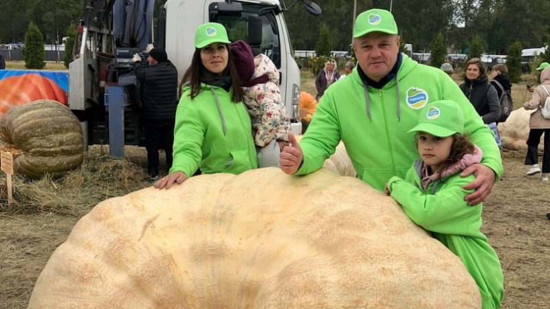 Самую большую тыкву в России вырастил фермер из Луховиц