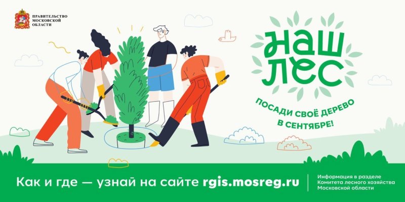 Более 3700 саженцев высадят в Пушкинском округе в рамках акции акция «Наш лес. Посади своё дерево»