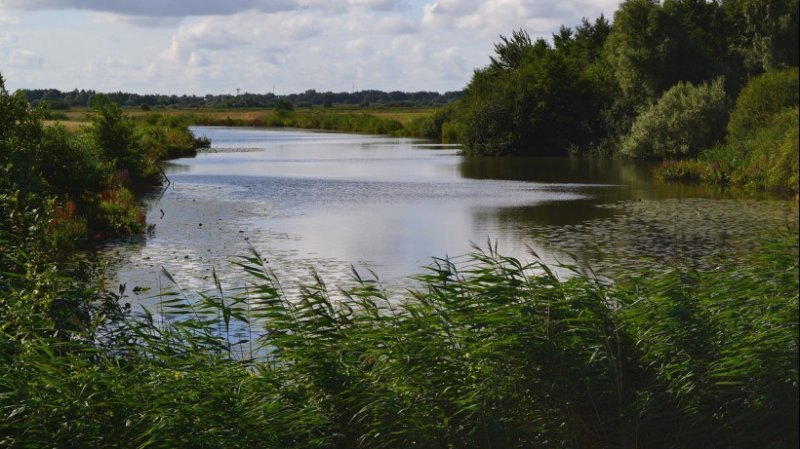 Работы по программе «100 озер и прудов» завершатся в Московской области в октябре
