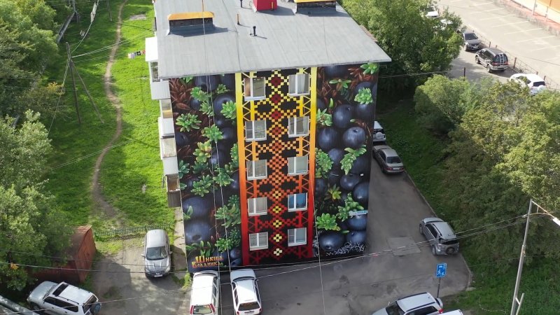 Пушкинский художник участвует в фестивале-конкурсе уличного искусства в Петропавловске-Камчатском
