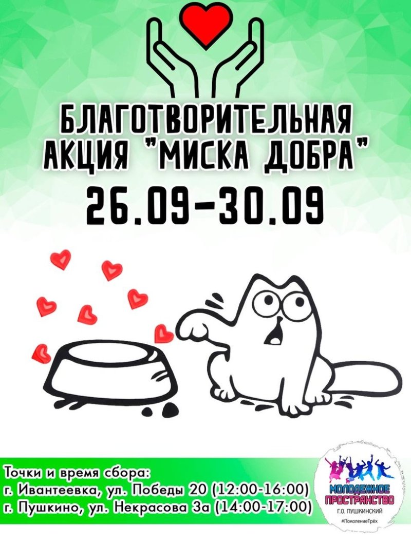 В Пушкинском пройдёт благотворительная акция «Миска добра»