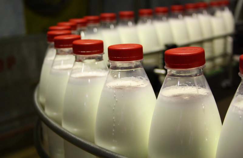 Производство молока в Подмосковье достигло почти 12 тыс. тонн в неделю