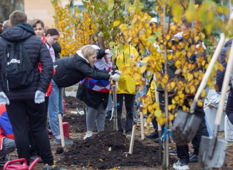 Более 3700 деревьев высадили в Пушкинском округе в ходе акции «Наш лес. Посади свое дерево»