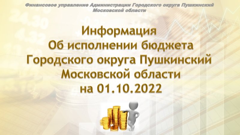 Информация об исполнении бюджета Пушкинского округа на 1 октября 2022 года