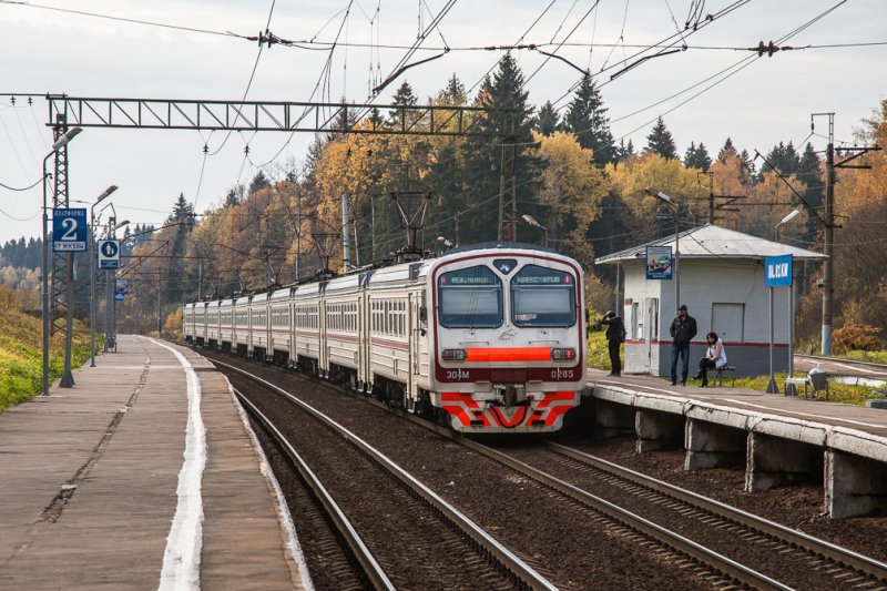 На Ярославском направлении изменится расписание некоторых пригородных поездов 31 октября