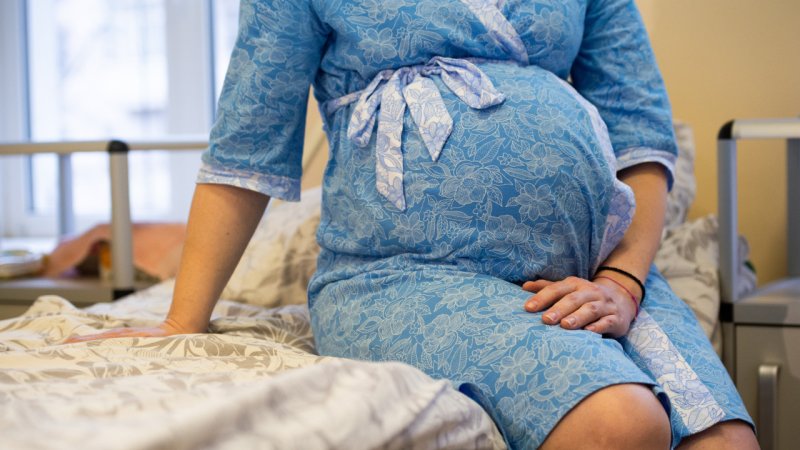 Оформление пособия по беременности и родам доступно на госуслугах для жителей Пушкинского округа