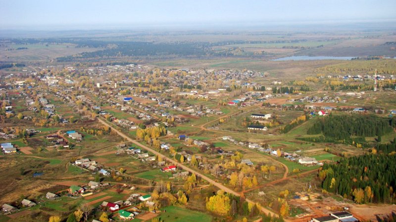 Выкупить земли под ЛПХ жители Пушкинского округа могут по упрощенным правилам