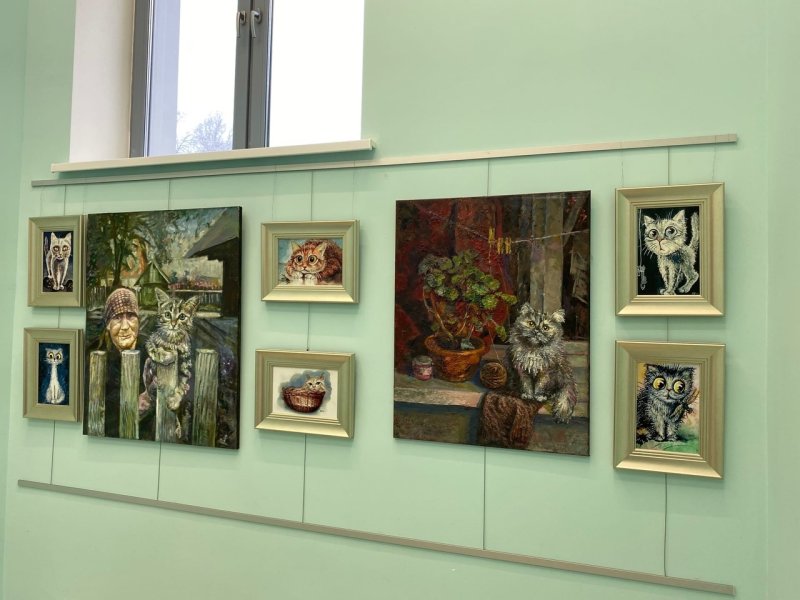 Выставка картин о котиках открылась в ДК «Правдинский»