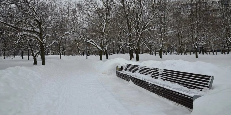 Московский регион накрыл мощный снегопад