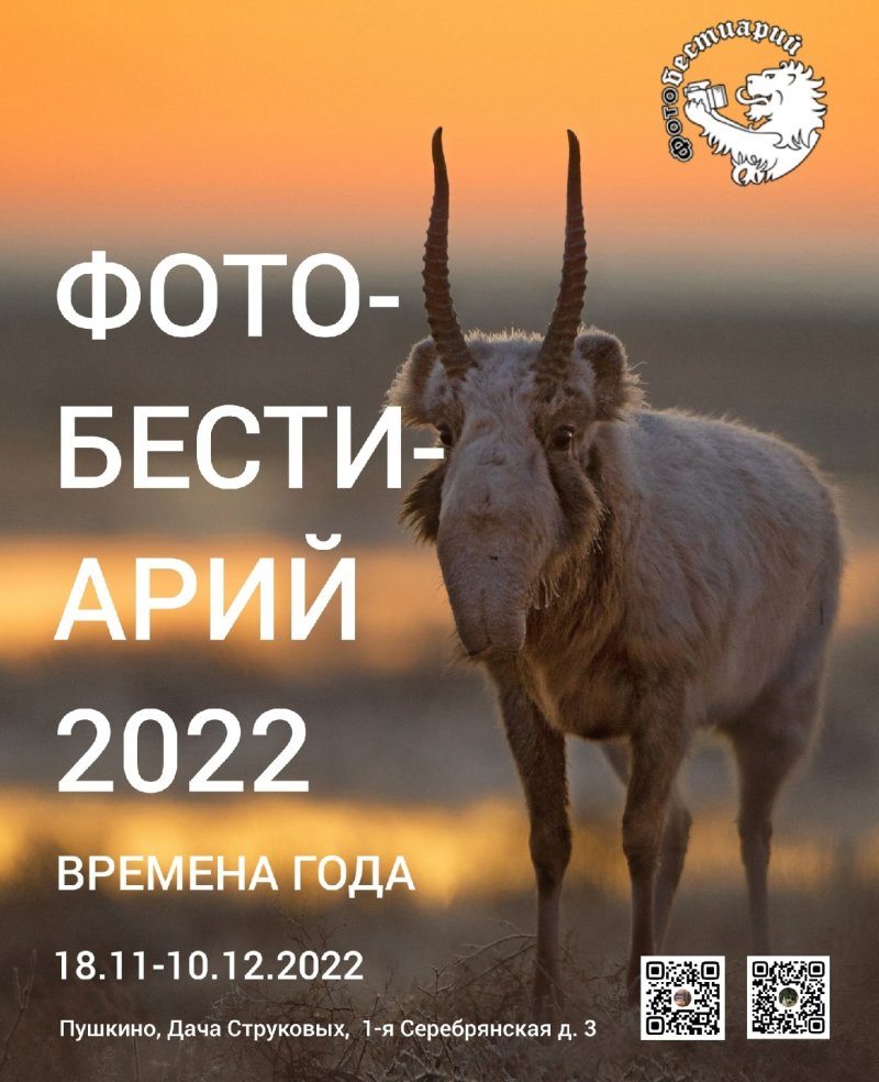 Передвижная выставка фотографий дикой природы «Фотобестиарий-2022. Времена года» пройдет в Пушкино