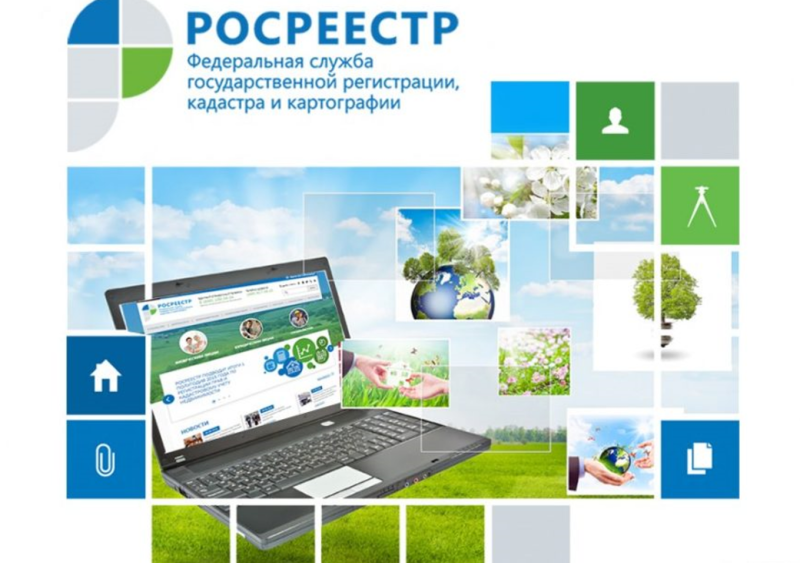 В Пушкинском округе решения по девяти земельным услугам теперь отправляются в Росреестр автоматически