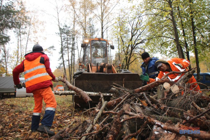 На въезде в Ивантеевку общими усилиями сделали уборку в лесополосе