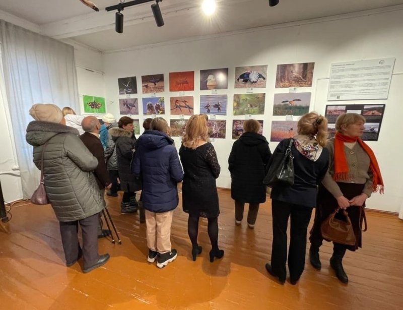 В Пушкино открылась выставка «Фотобестиарий. Времена года 2022»