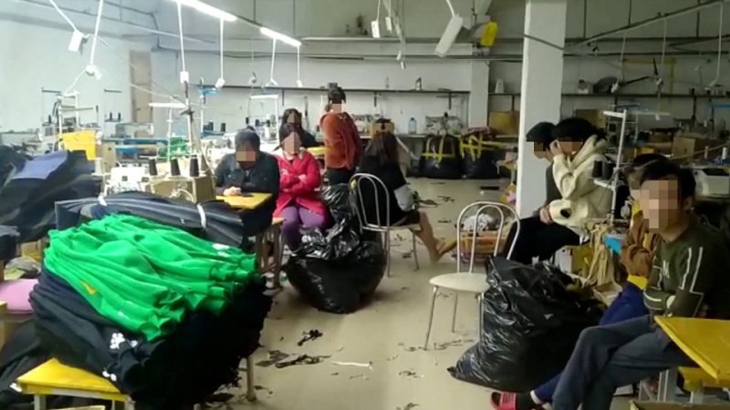 Подпольный швейный цех с мигрантами обнаружили в Орехово-Зуево 