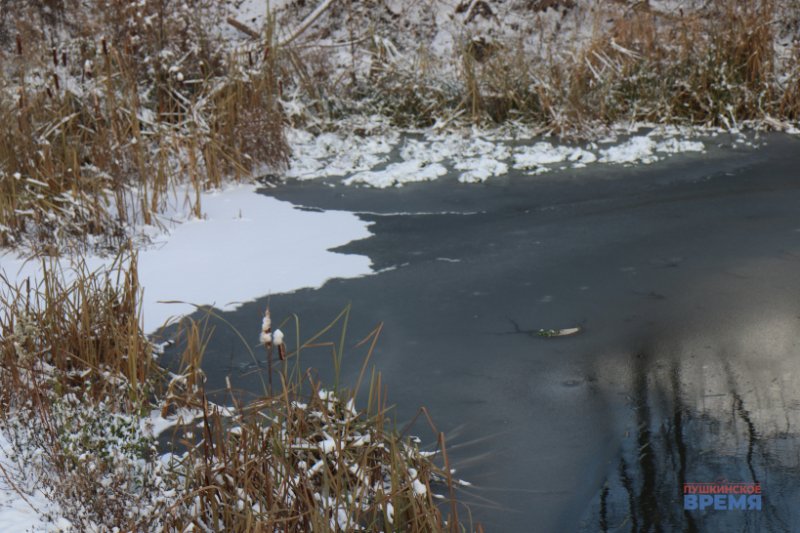 На реке Уче и других водоёмах Пушкинского округа образуется ледяной припай