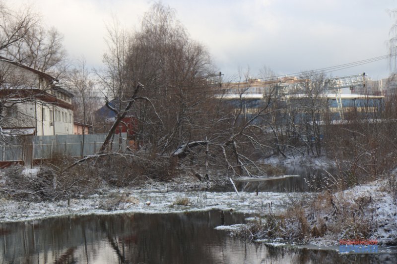 На реке Уче и других водоёмах Пушкинского округа образуется ледяной припай
