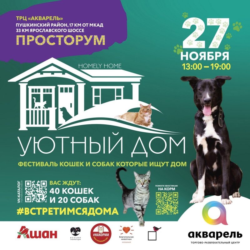 27 ноября в Пушкино пройдет фестиваль кошек и собак, которые ищут дом