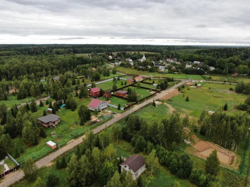 Пушкинский вошел в тройку муниципалитетов с самой дорогой землей