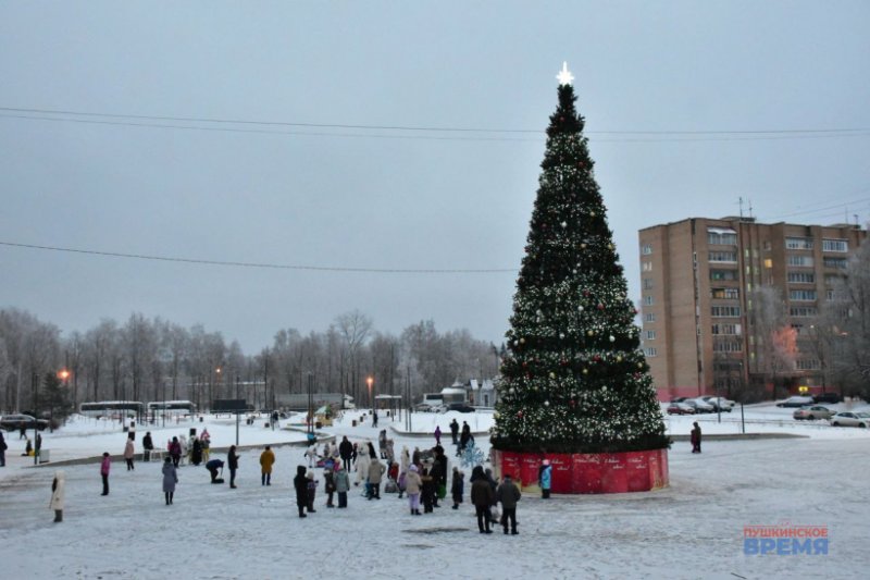 Деда Мороза в Красноармейске встретили играми и танцами