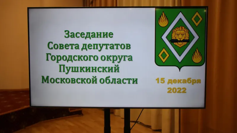 Принят бюджет Городского округа Пушкинский на 2023 год