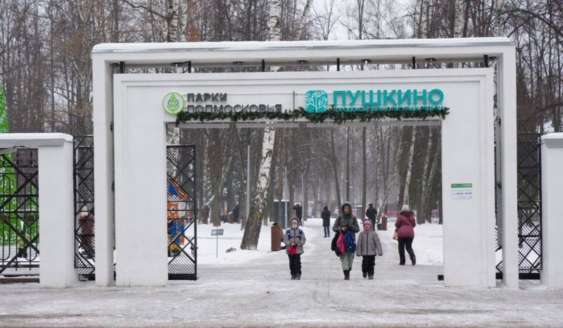 Пушкинская зима: ярко, интересно и спортивно!