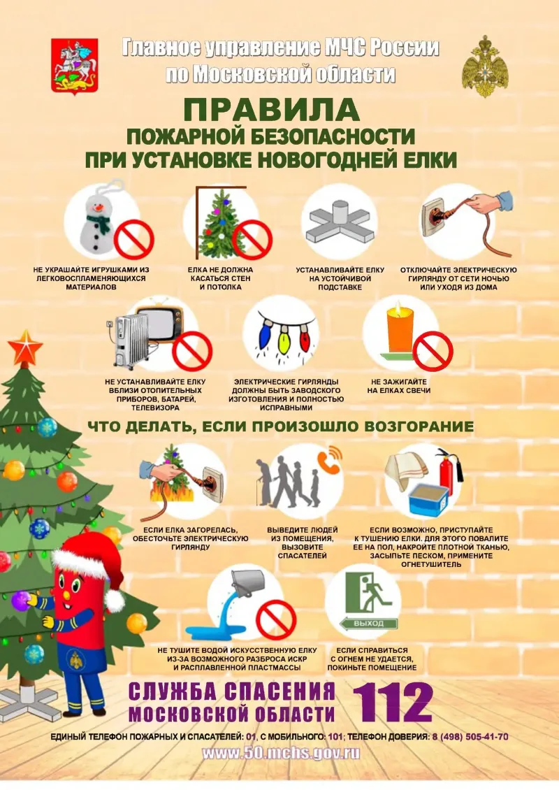 Пушкинцам напомнили правила пожарной безопасности в Новый год