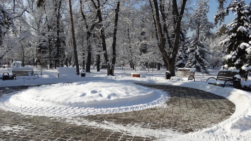 Новые территории для зимних прогулок: в Подмосковье открыли три лесопарка