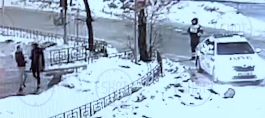 Пьяные мужчины в Балашихе забросали авто ДПС снежками и устроили драку с инспектором: видео
