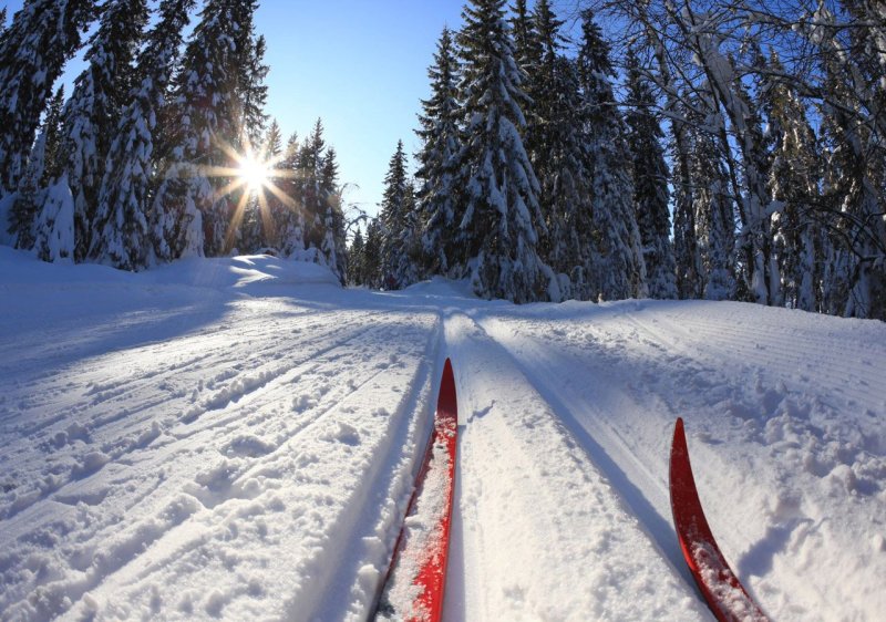 Лыжный спринт пройдёт в Ступино 21 января