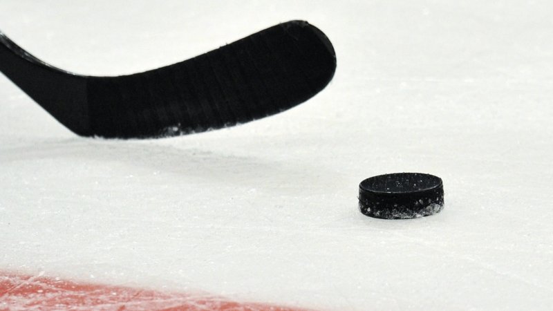Матч звездной сборной «Легенды хоккея» с командой жителей Подмосковья состоится в Чехове 21 января